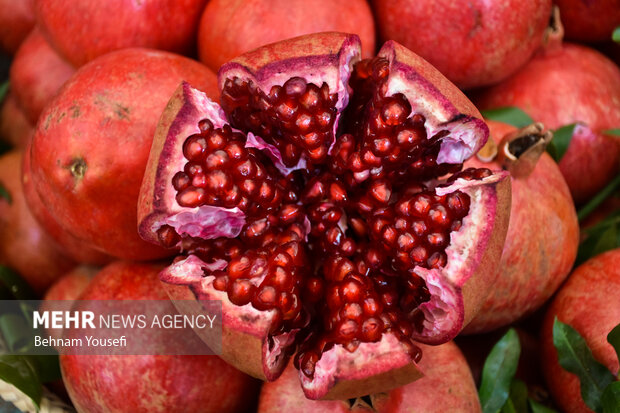 1st Pomegranate Festival in Saveh