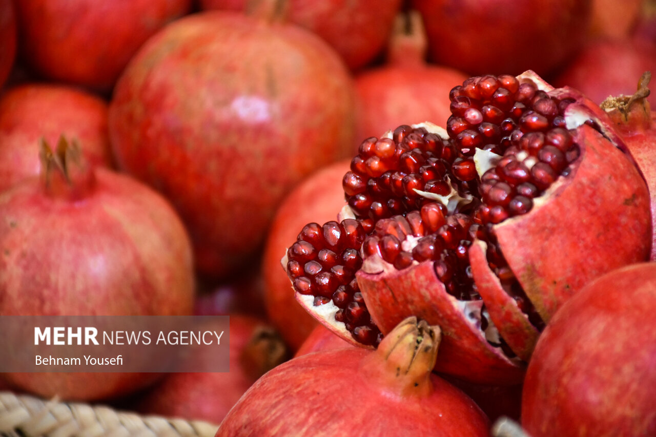 1st Pomegranate Festival in Saveh