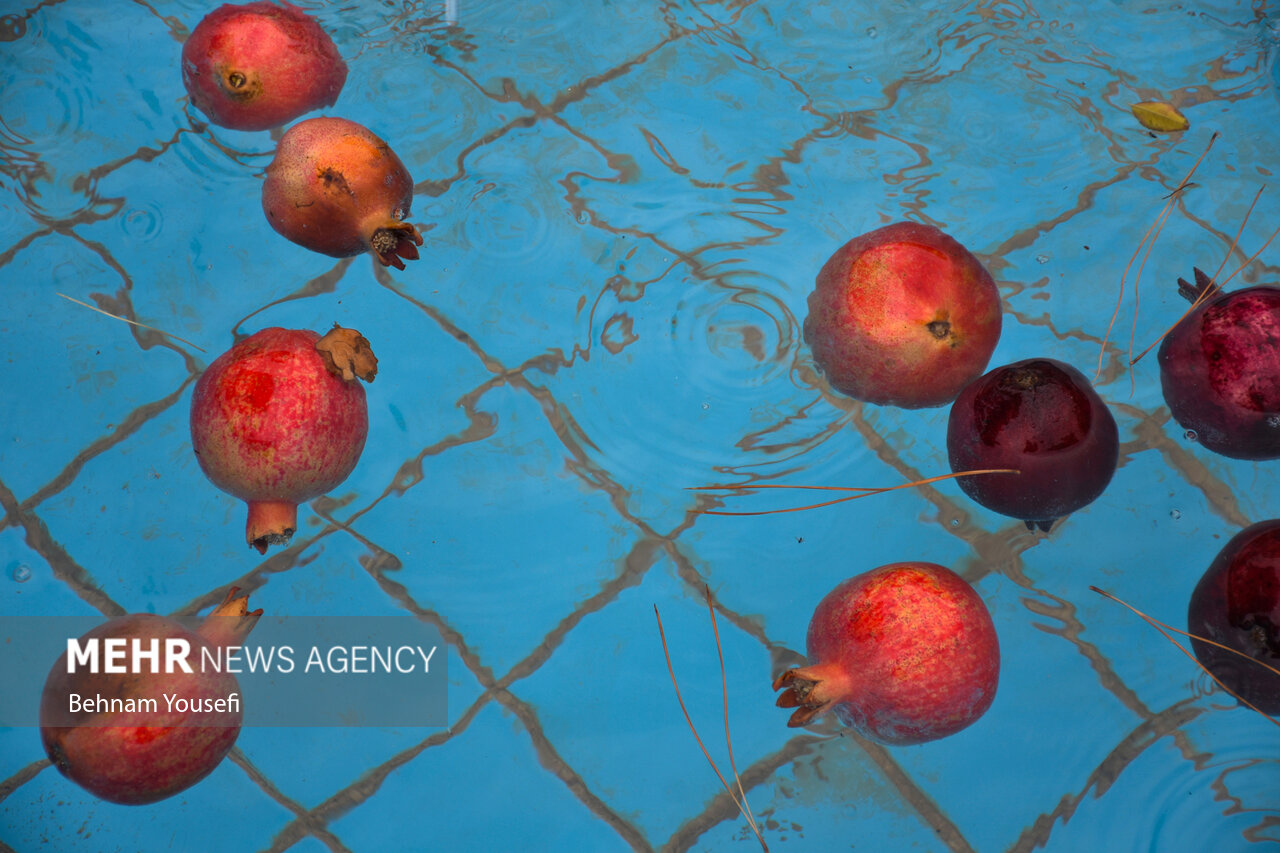 1st Pomegranate Festival in Saveh