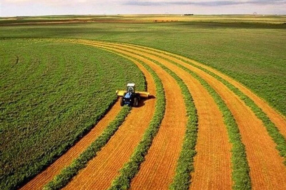 محصولات کشاورزی شناسنامه‌دار می‌شوند/ لزوم مشارکت کشاورزان بوشهری