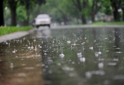 ۱۱.۳ میلیمتر بارش باران در شهر یاسوج ثبت شد