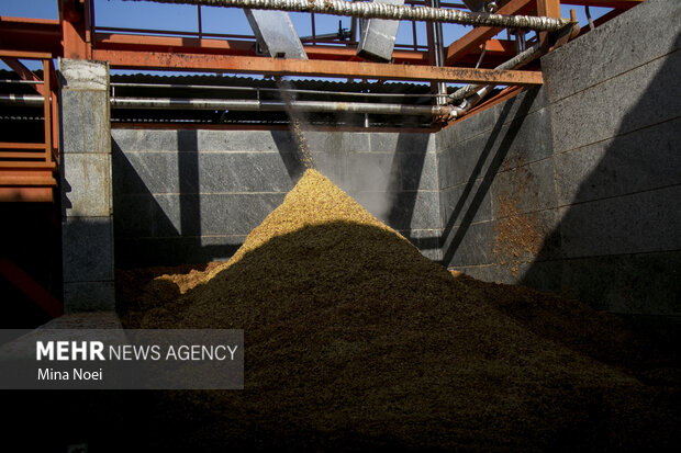 رویکرد کشت قراردادی، حمایت از کشاورزان است