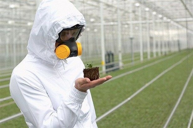 شرایط بوشهر خاص است/ لزوم اجرای برنامههای پدافند زیستی