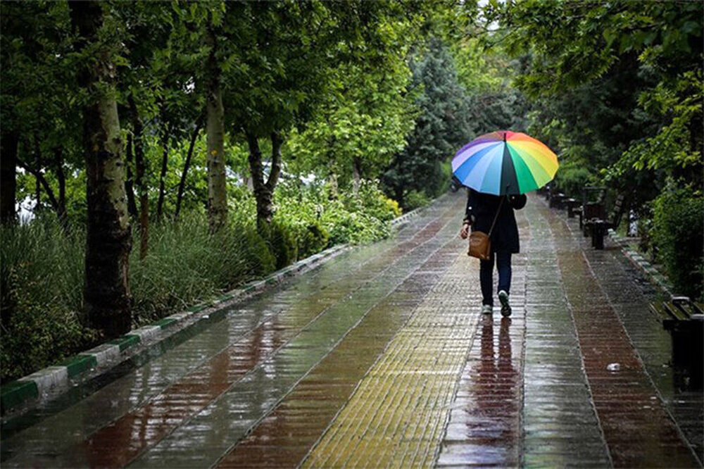 فعالیت سامانه بارشی در استان بوشهر تا پایان هفته ادامه دارد