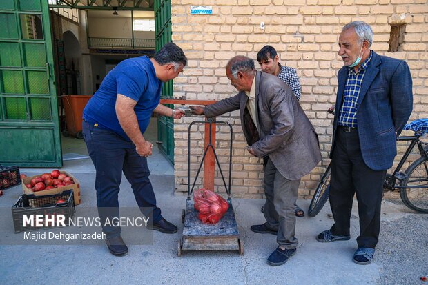 انار چینی در روستای تاریخی سریزد 24