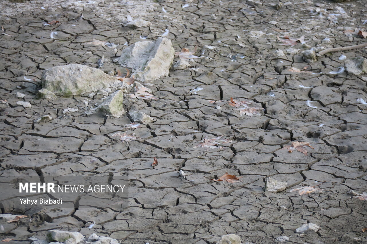 آب آرزوی نایاب تالاب های گلستان/نوشداروی مدیران پس از مرگ می رسد