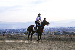 جشنواره بین المللی «اسب کرد» خرداد امسال در بیستون برگزار می‌شود
