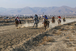 نفرات برتر سوارکاری جنوب کشور در میناب مشخص شدند