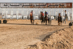 Autumn horse racing tournament in North Khorasan