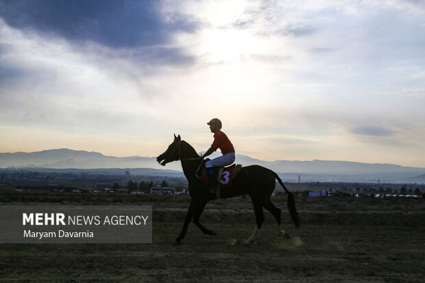 کورس اسب دوانی پاییزه 2
