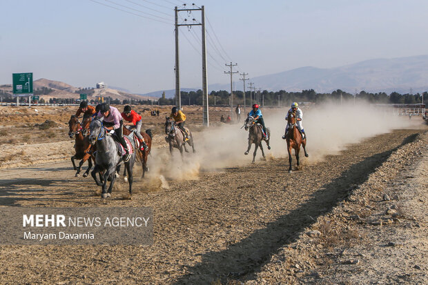 کورس اسب دوانی پاییزه 7