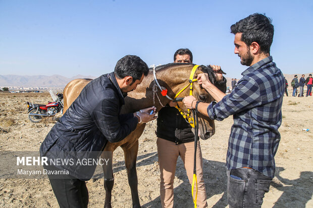 کورس اسب دوانی پاییزه 9