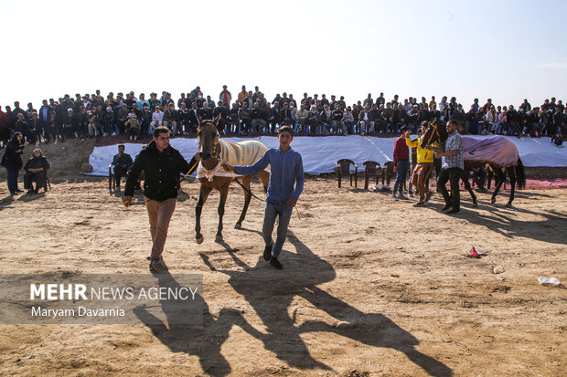 Autumn horse racing tournament in North Khorasan