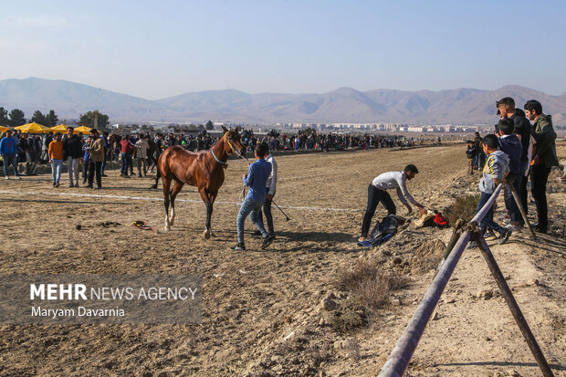 Autumn horse racing tournament in North Khorasan