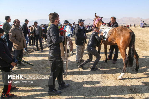 کورس اسب دوانی پاییزه 19