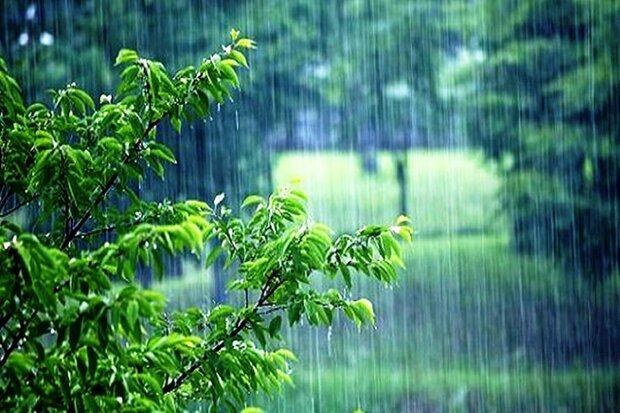 بیشترین میزان بارندگی مربوط به شهرستان کازرون است