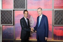 رؤسای‌ جمهور ترکیه و اندونزی دیدار کردند