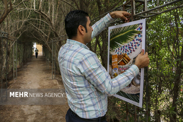 عکاس خبرگزاری مهر مقام دوم جشنواره عکس «قاب سبز» را کسب کرد