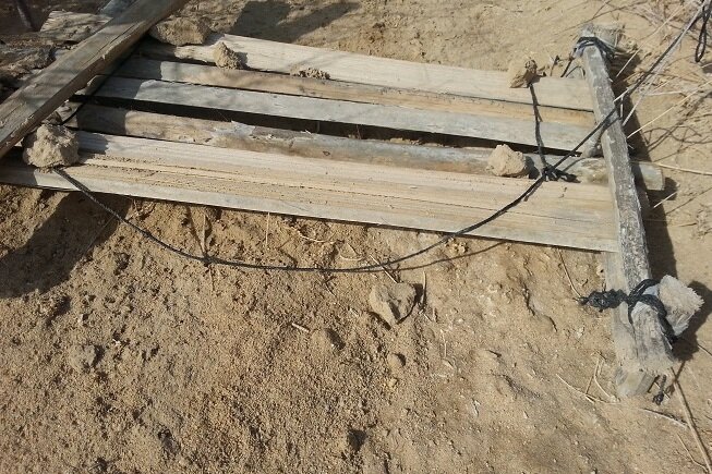 ۲۵۰ تله زنده‌ گیری «هوبره » در استان بوشهر تخریب شد