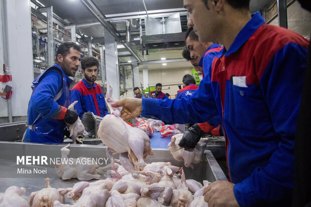توزیع گوشت مرغ با تاریخ انقضا نزدیک