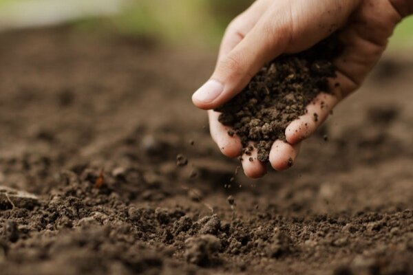 فرسایش خاک در اراضی کشاورزی باید مورد توجه قرار گیرد