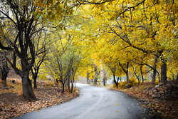 Picturesque autumn in Delaram village