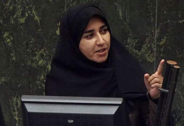 فلاحی: چابکسازی به معنای انحلال ساختارهای مؤثر حاکمیتی نیست