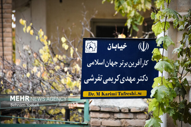 روستای پزشکان ایران ، دلارام تفرش