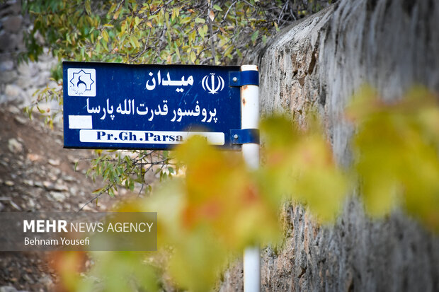 روستای دِلارام؛ «دهکده پزشکان» 9