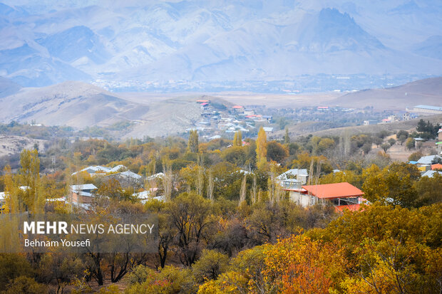 روستای پزشکان ایران ، دلارام تفرش