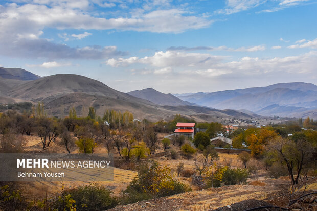 روستای پزشکان ایران ، دلارام تفرش