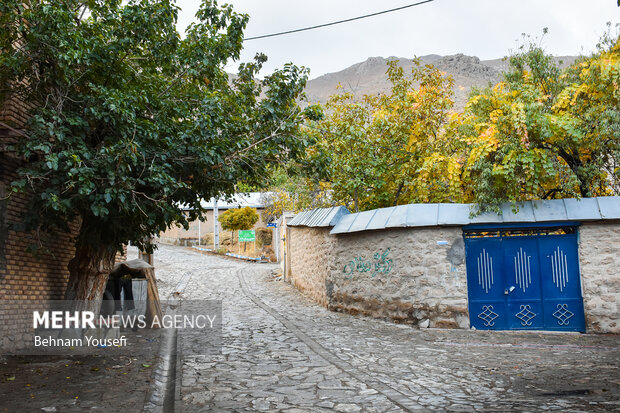 روستای پزشکان ایران ، دلارام تفرش