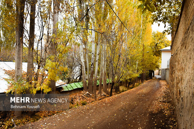 روستای پزشکان ایران ، دلارام تفرش