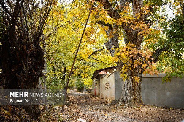 En çok doktor çıkaran köy olarak bilinen Delaram Köyü'nden fotoğraflar