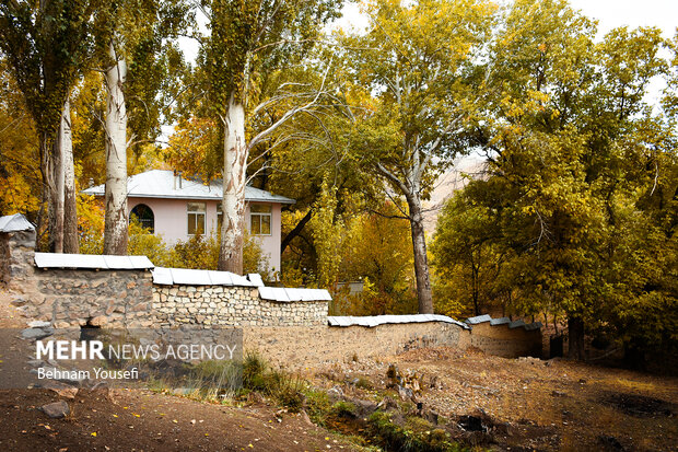 روستای پزشکان ایران ، دلارام تفرش