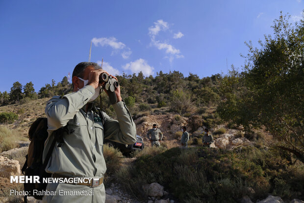 حفاظت ۳۷۰۰ محیطبان از ۱۱ درصد از خاک کشور