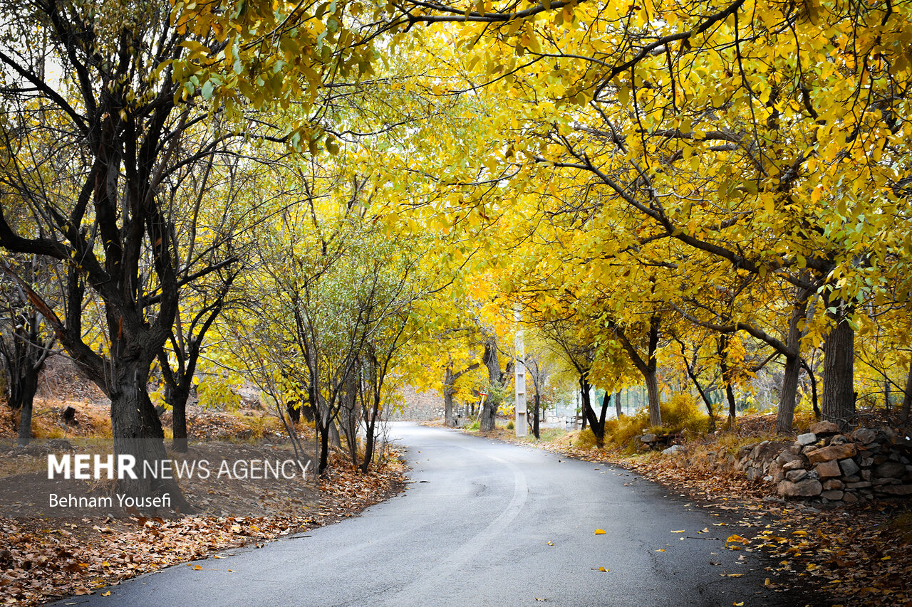 Mehr News Agency - Picturesque autumn in Delaram village