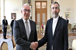 Armenian diplomat thanks Iran for supporting his country