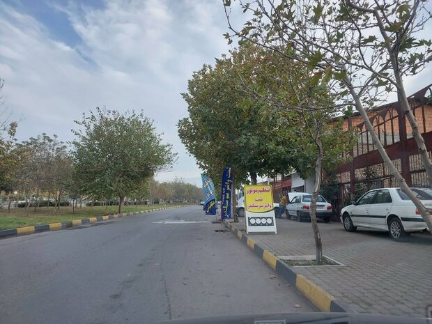 پیکره گرگان زخمی ازپرچمهای ساحلی/بی نظمی در تبلیغات بیداد میکند