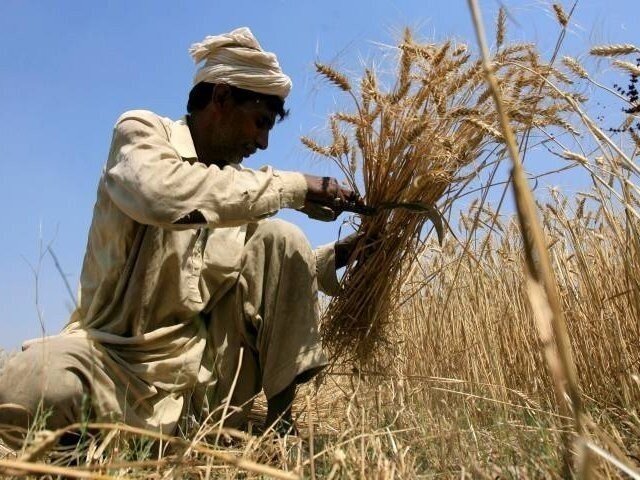 سندھ، کسانوں کو 13 ارب کی سبسڈی دینے کیلیے طریقہ کار کا اعلان