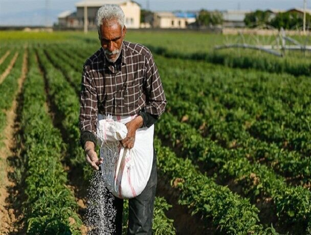 ۳۹ تن کود برای کشت پاییزه بین کشاورزان گلستانی توزیع شد
