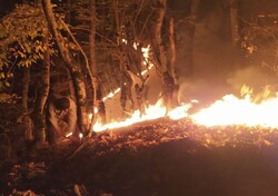جنگل‌های رودبار دوباره طعمه حریق شد/ تاکید بر خودداری از روشن کردن آتش