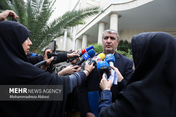 محمد اسلامی به عنوان معاون رئیس‌جمهور و رئیس سازمان انرژی اتمی در حاشیه جلسه هیئت دولت در حال پاسخ به سوالات خبرنگاران است