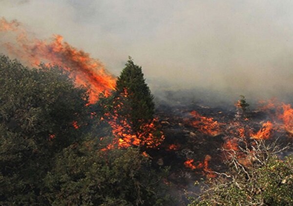 حریق ۴۵هکتار از اراضی جنگلی گیلان/آتش سوزی‌ها به طور کامل مهار شد