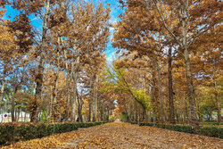 Beautiful sceneries of autumn in Bojnurd