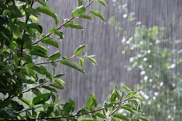 بارش شدید باران همراه با رعد و برق زنجان را فرا می گیرد