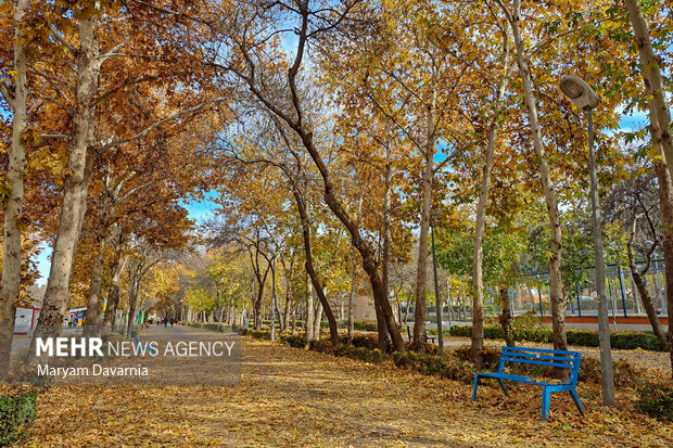 Beautiful sceneries of autumn in Bojnurd