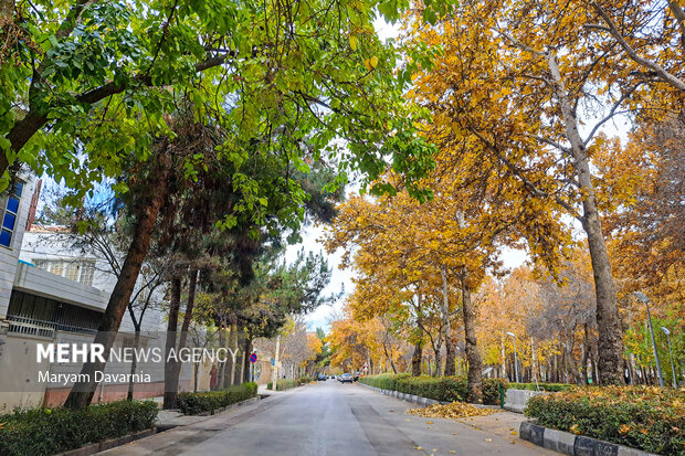 Beautiful sceneries of autumn in Bojnurd