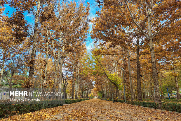 Picturesque autumn in Tehran
