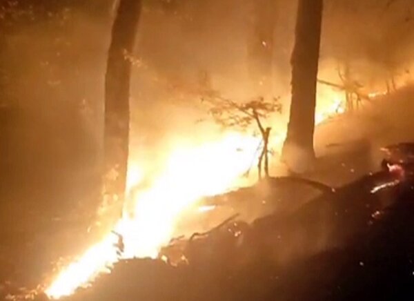 توضیحات مدیرکل منابع طبیعی گیلان درباره آتش سوزی جنگل های رودبار